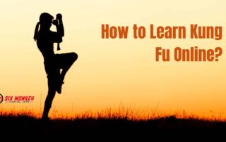 How to Learn Kung Fu Online (4)