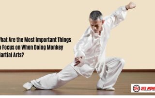 How to Learn the Basics of Monkey Kung Fu (1)