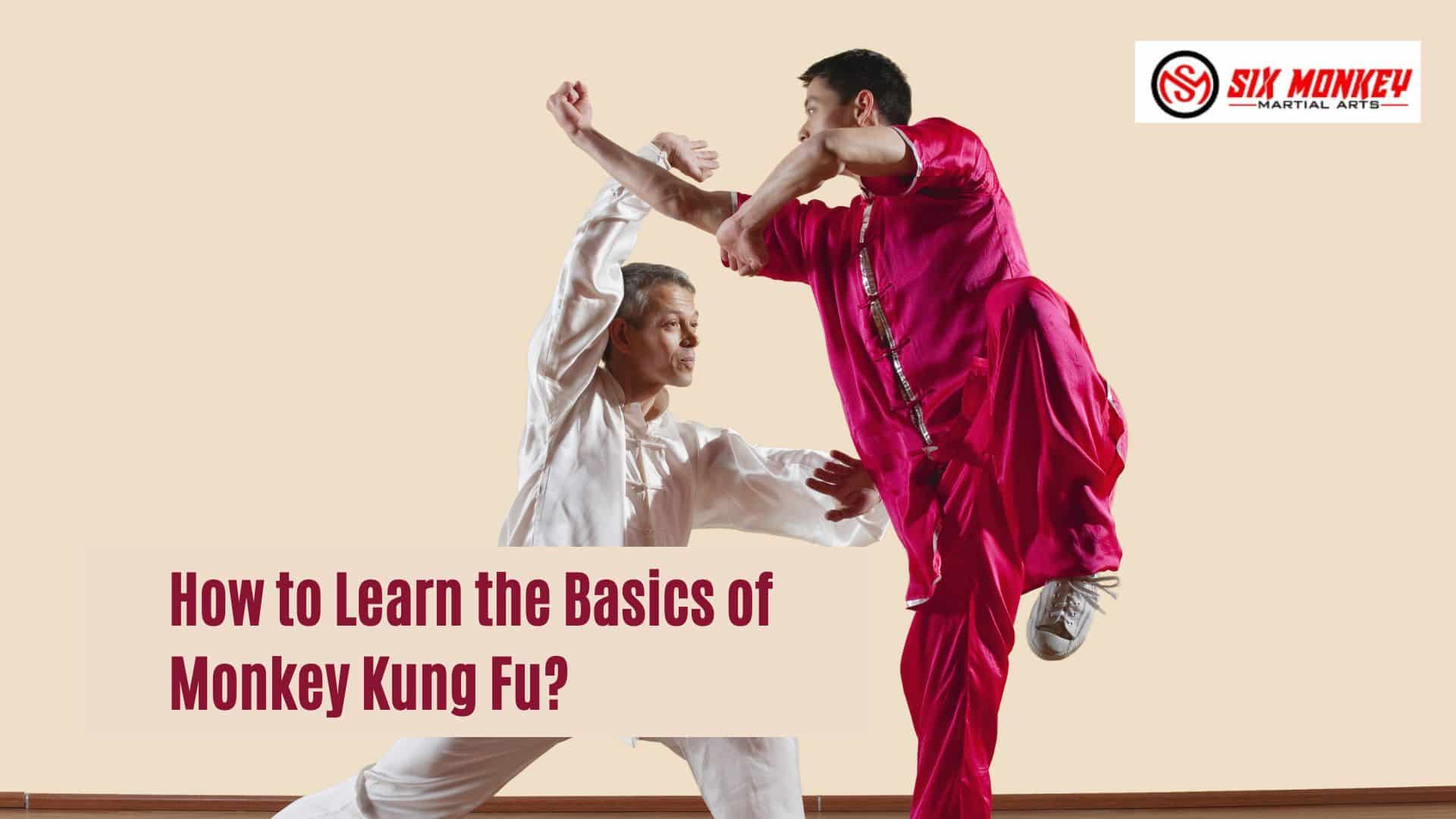 How to Learn the Basics of Monkey Kung Fu