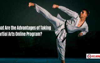 What Are the Advantages of Taking Martial Arts Online Program g