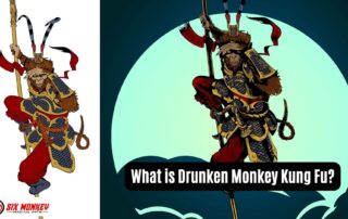 What is Drunken Monkey Kung Fu
