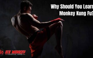 Why Should You Learn Monkey Kung Fu (1)