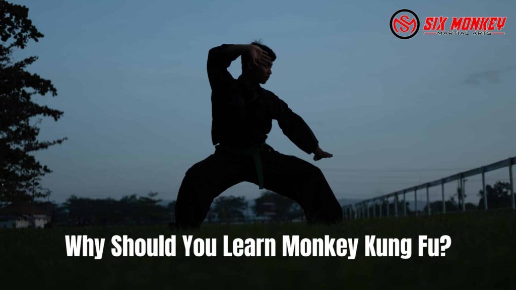 monkey kung fu