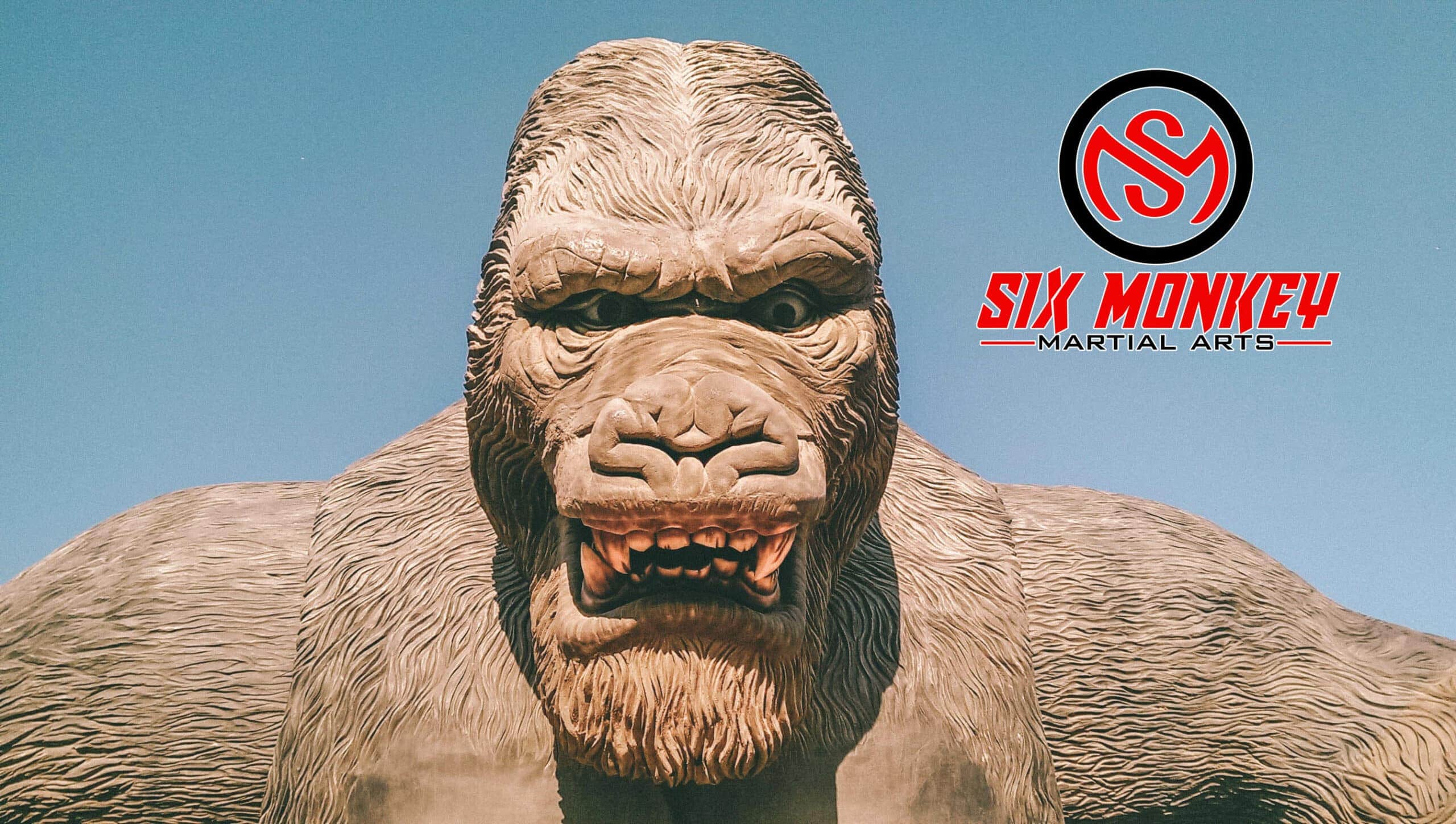 Blog Six Monkey Martial Arts