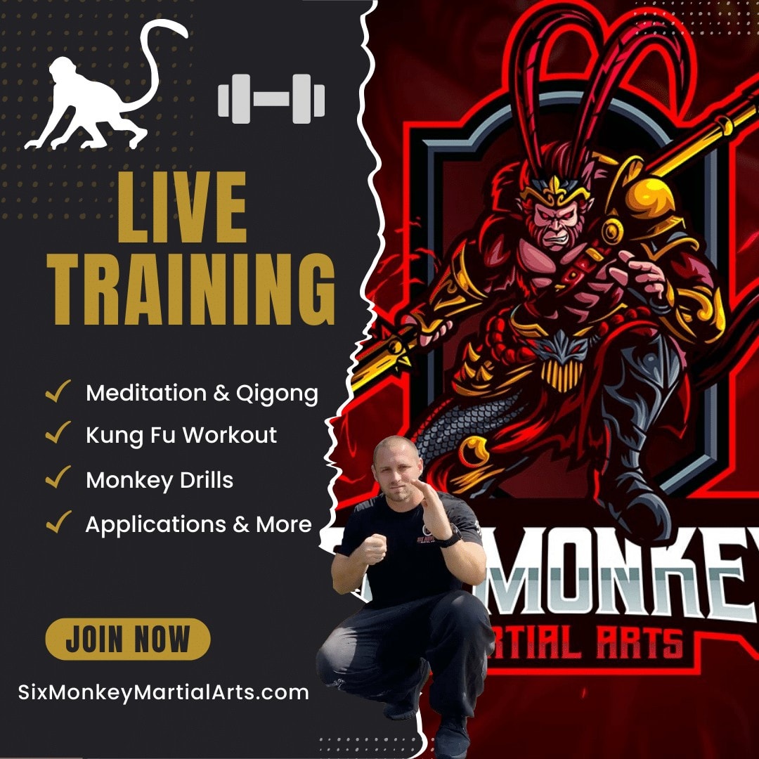 Monkey Kung Fu Live CLasses