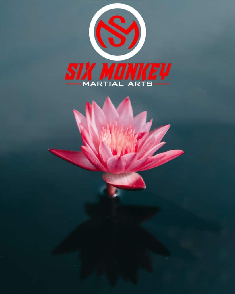 Monkey Kung Fu meditation